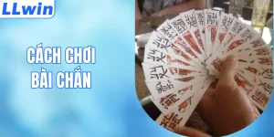 Hướng Dẫn Toàn Tập Cách Chơi Bài Chắn Cho Người Mới